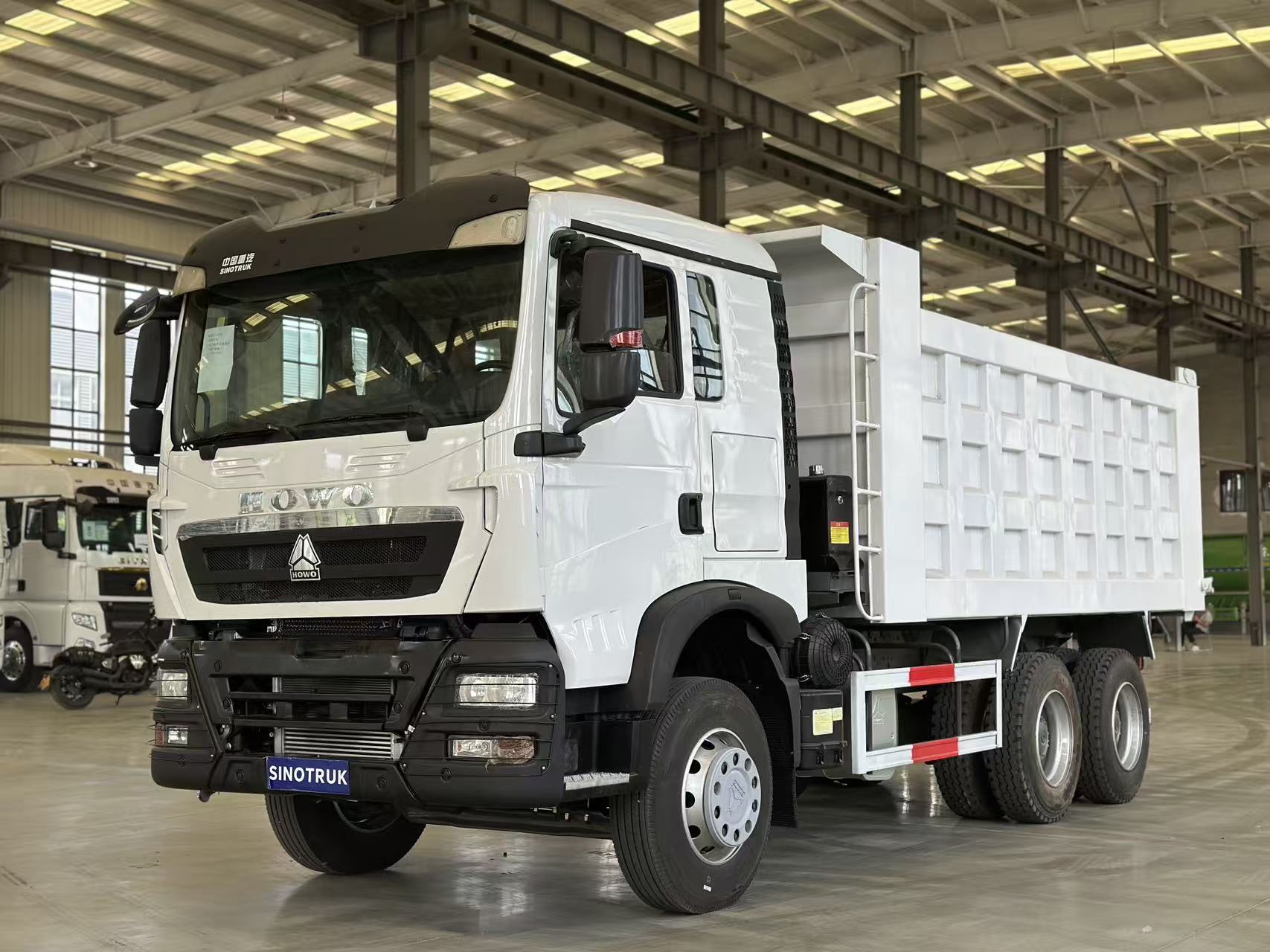 HOWO TX 6x4 Dump Truck 4